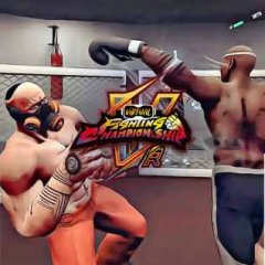 Oculus Quest 游戏《Virtual Fighting Championship (VFC)》虚拟格斗锦标赛 (VFC)