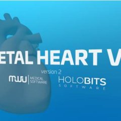 心脏病医学VR - Fetal Heart VR VR游戏封面