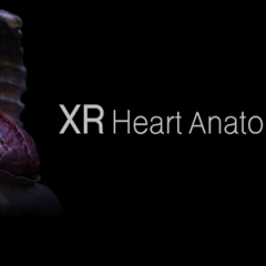 XR 心脏解剖 - XR Heart Anatomy VR游戏封面