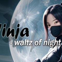 忍者-夜之华尔兹 - Ninja – Waltz of Night VR游戏封面