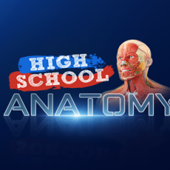 高中解剖学 VR - High School Anatomy for Quest VR游戏封面