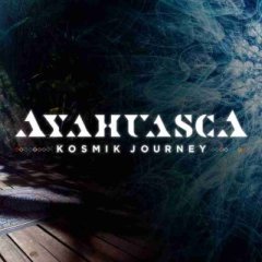 死藤 – 宇宙之旅 - Ayahuasca – Kosmik Journey VR游戏封面