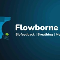 Flowborne – Breathing Meditation - 呼吸冥想 VR游戏封面