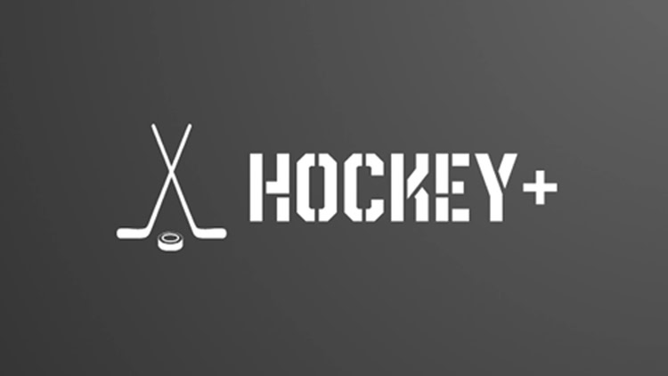 曲棍球+ - Hockey+ VR游戏封面