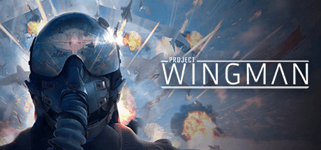 翼人计划VR（Project Wingman） VR游戏封面
