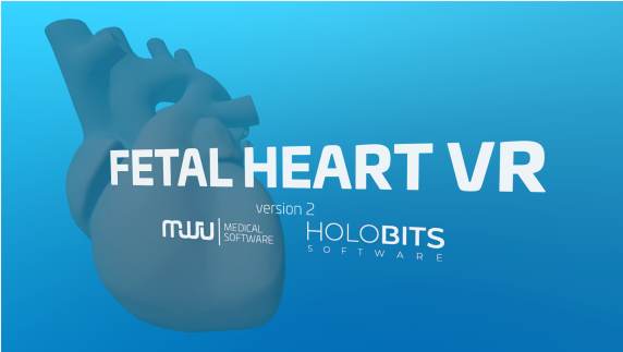 心脏病医学VR - Fetal Heart VR VR游戏封面