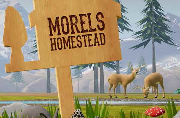 农场家园 - Morels: Homestead VR游戏封面