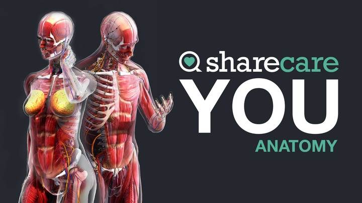 器官解刨学 - Sharecare YOU Anatomy VR VR游戏封面