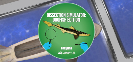 解剖模拟器 鲨鱼 - Dissection Simulator: Shark Edition VR VR游戏封面