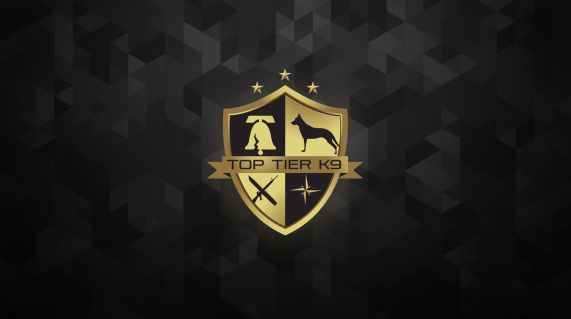 顶级 K9 - Top Tier K9 VR游戏封面