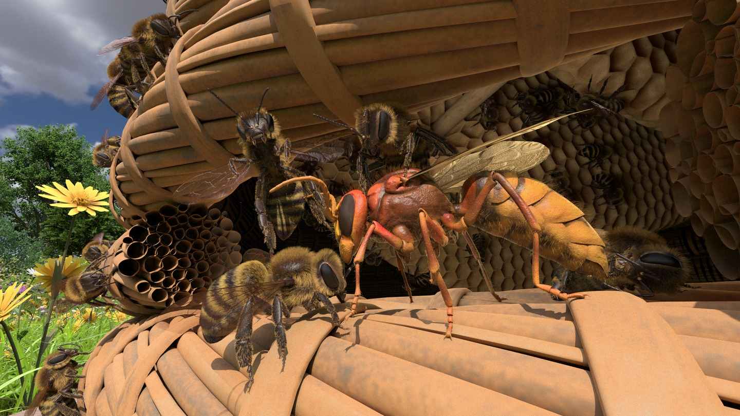 蜜蜂VR - Honeybee VR VR游戏封面