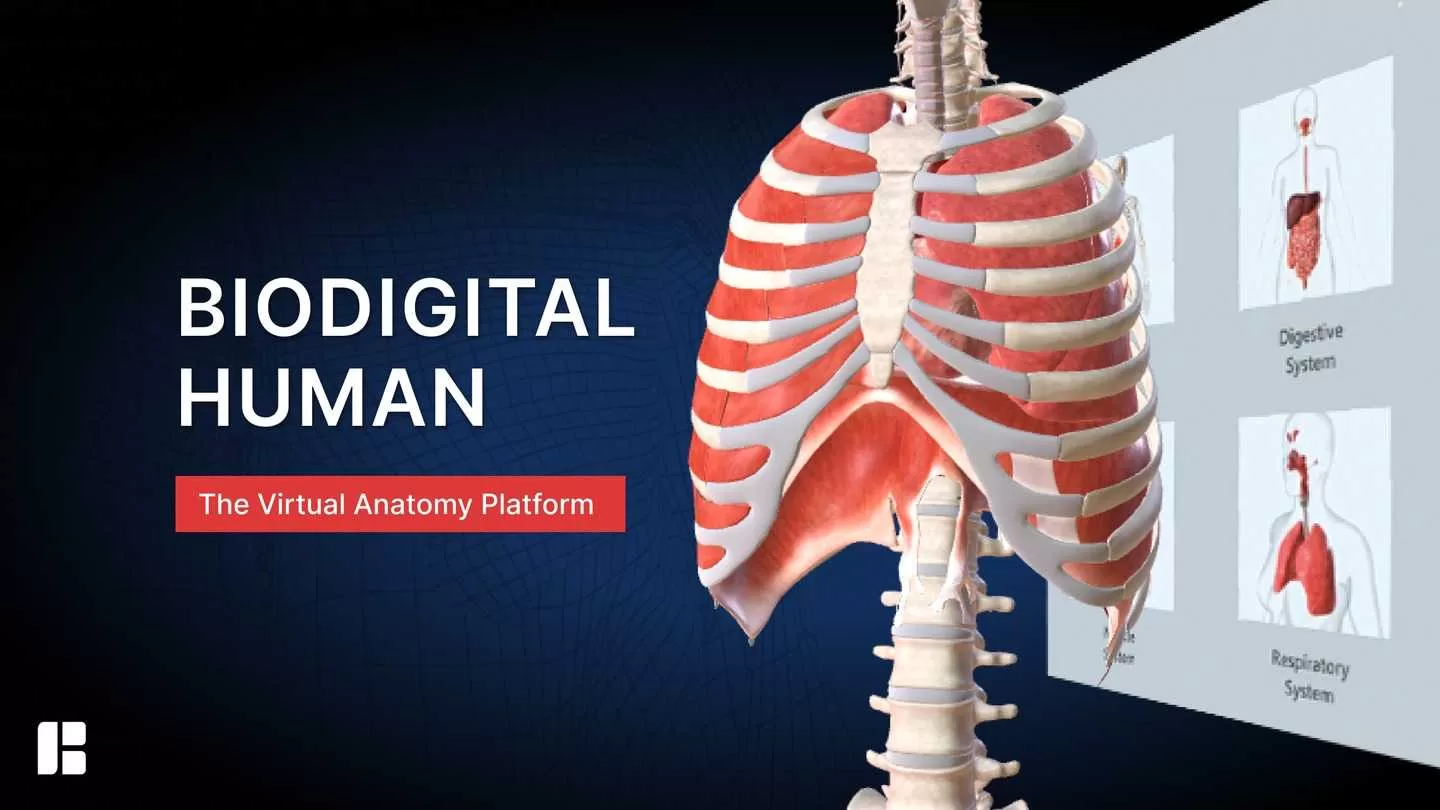 生物数字人 - BioDigital Human VR游戏封面