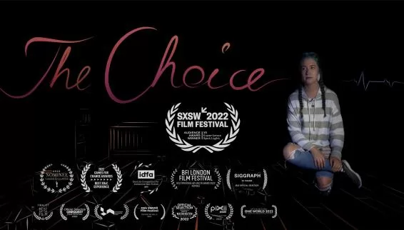 选择 - The Choice VR游戏封面
