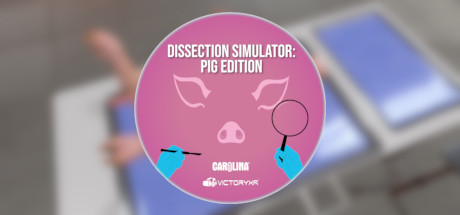 解剖模拟器 小猪 - Dissection Simulator – Pig Edition VR游戏封面