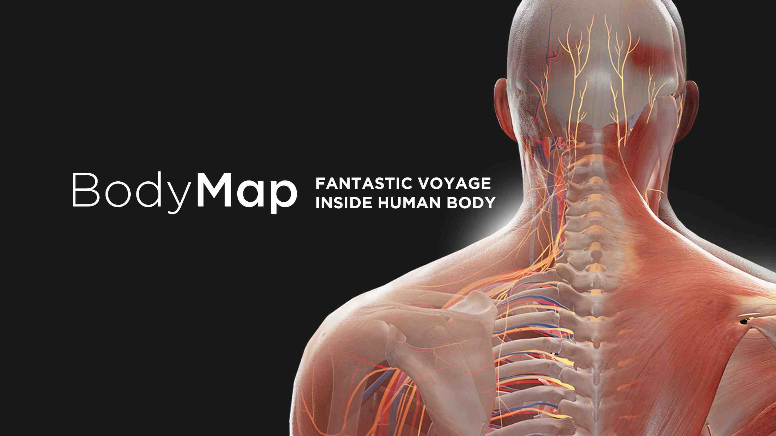 解剖学和医学教育 - BodyMap for Anatomy and Medical Education VR游戏封面
