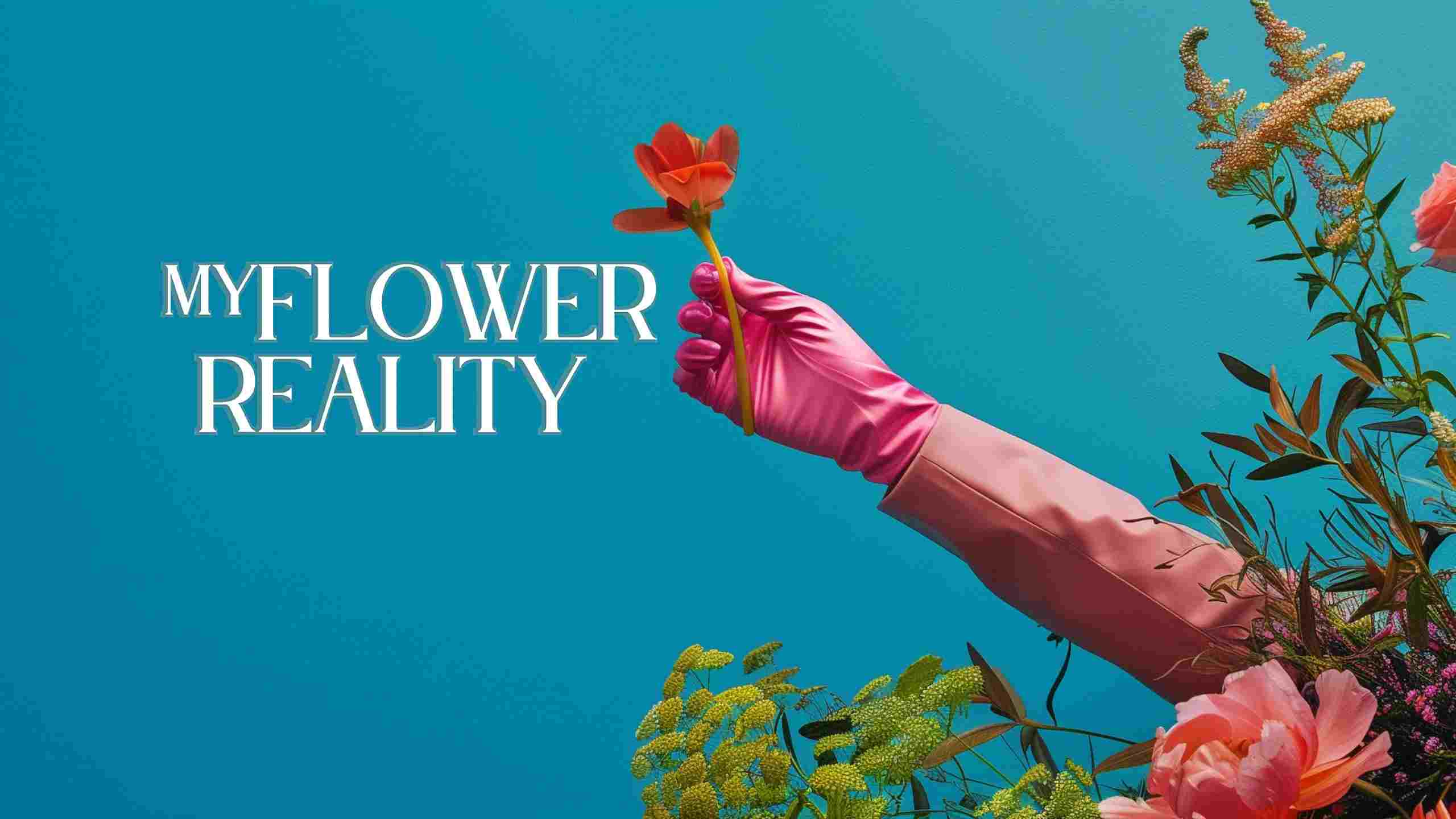 虚拟花盆 - My Flower Reality VR游戏封面