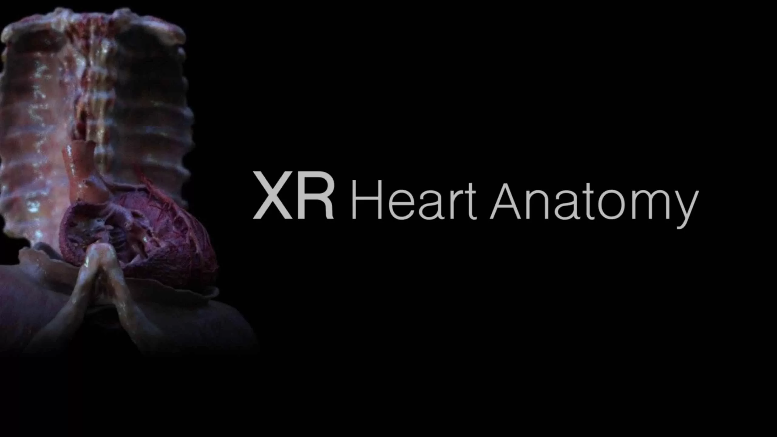 XR 心脏解剖 - XR Heart Anatomy VR游戏封面