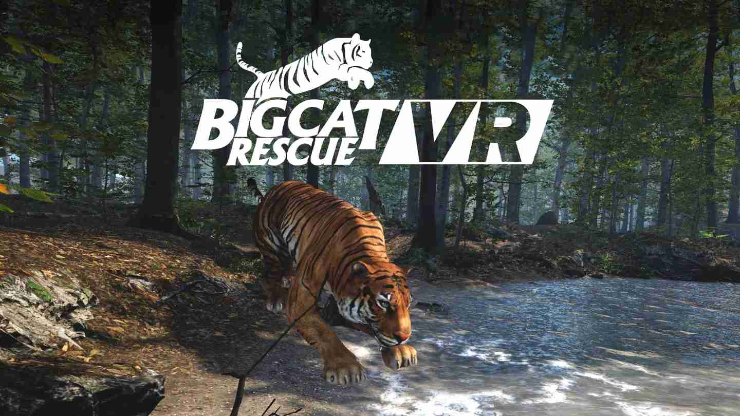 大型猫科动物 - Big Cat Rescue VR游戏封面