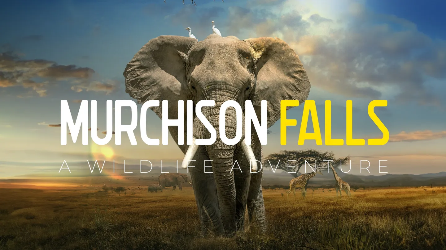 野生动物探险之旅 - Murchison Falls: The Awarded Wildlife Adventure with Elephants, Lions and Hyenas VR游戏封面
